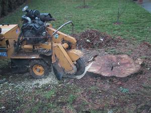 Travaux sur corde Strasbourg